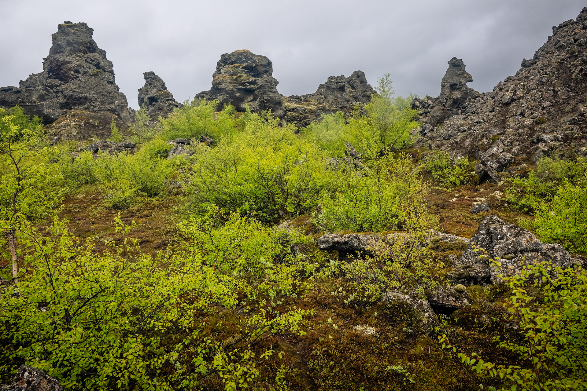 Dimmuborgir Lava Field