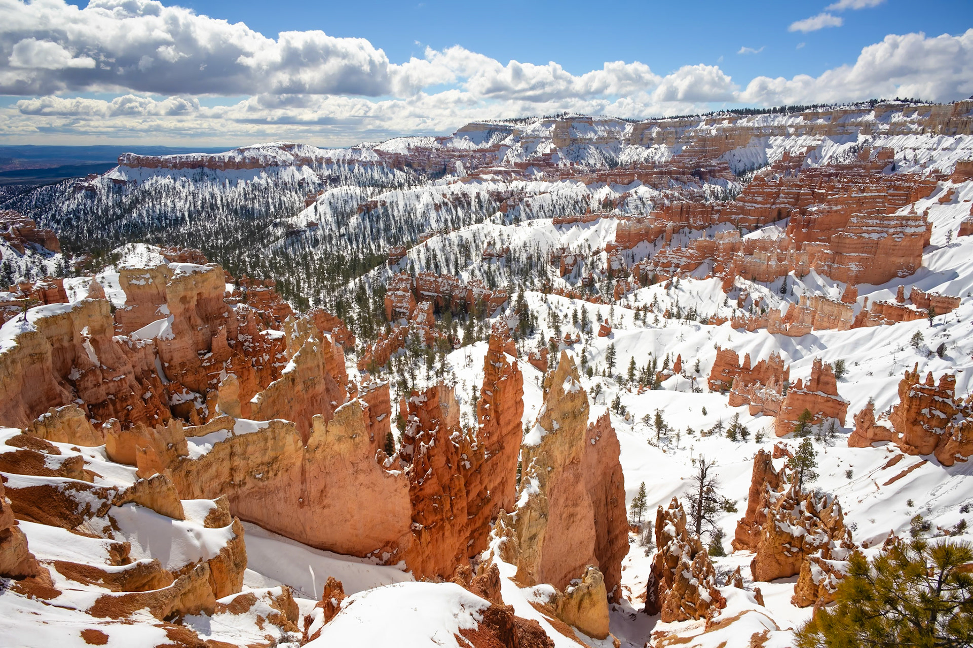 Bryce Canyon National Park, March 2024