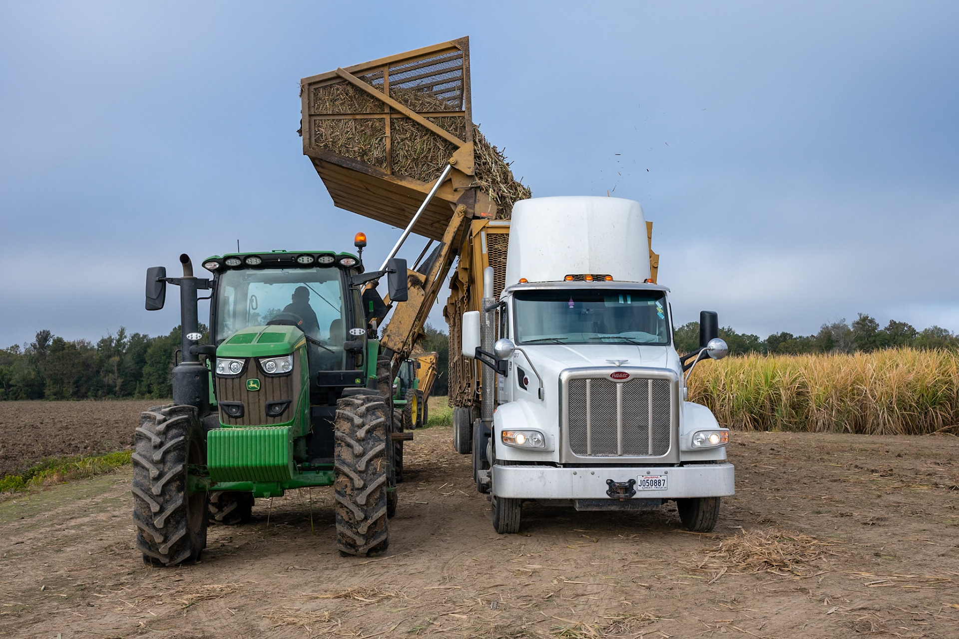 Loading the truck for delivery to Alma sugar factory.