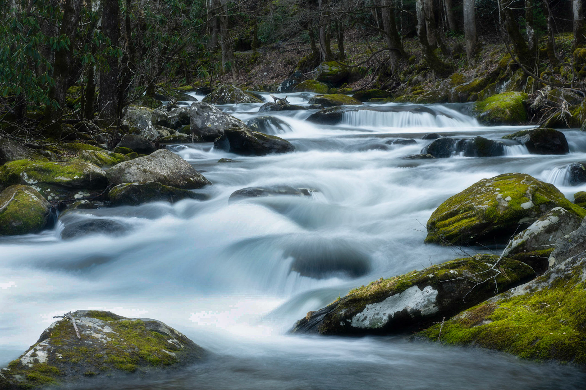Great Smoky Mountains National Park, 2023