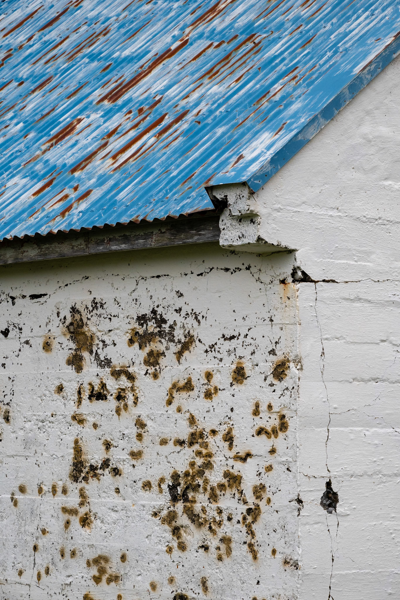 House in Seyðisfjörður