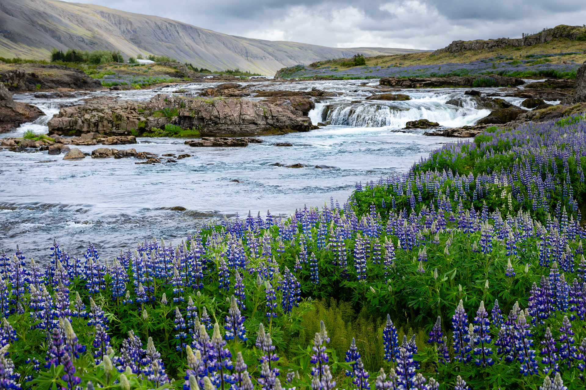 Cascade at Láxa Í Kjós
