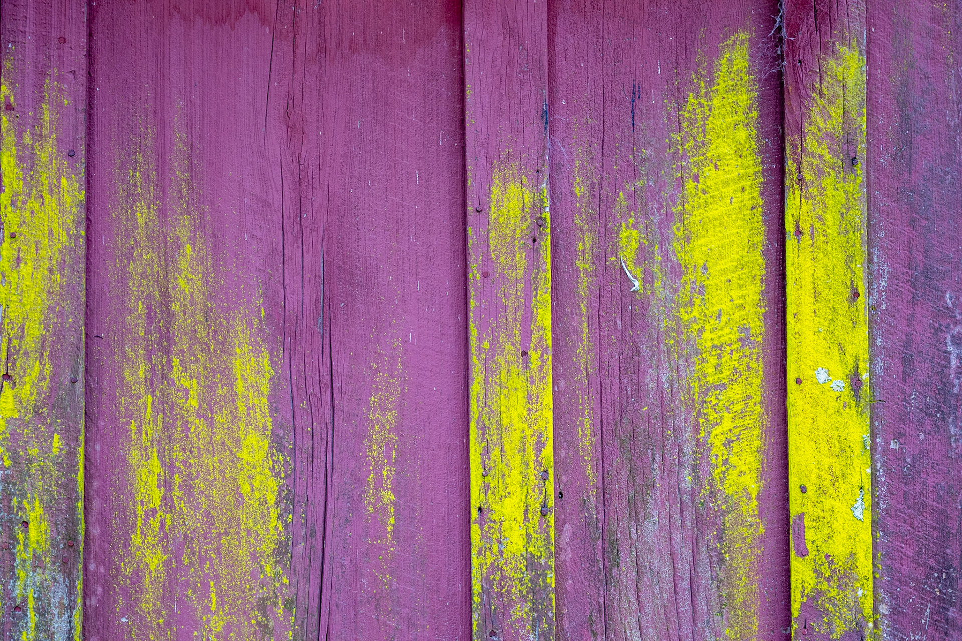 Old Siding #2, Louisiana 2025