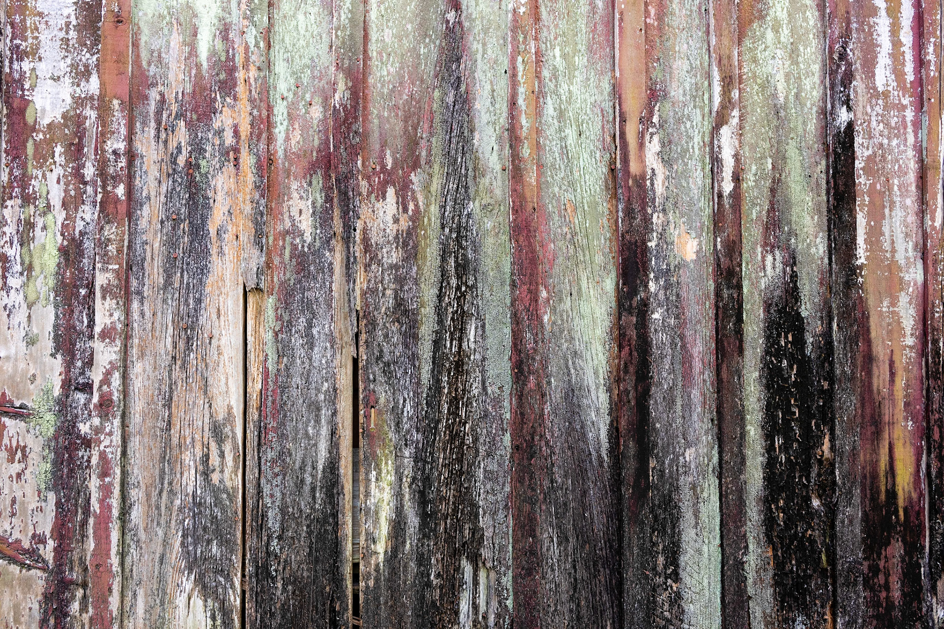 Old Siding #1, Louisiana 2025