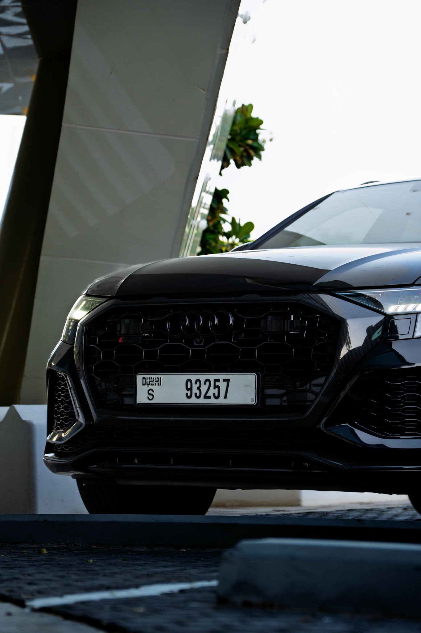 2023 AUDI RSQ8
