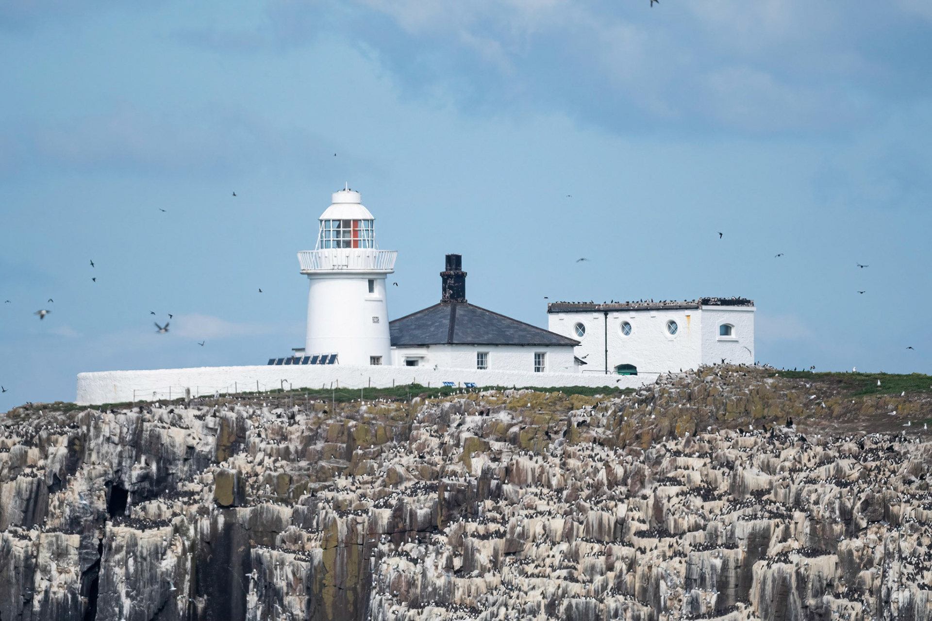 The Lighthouse