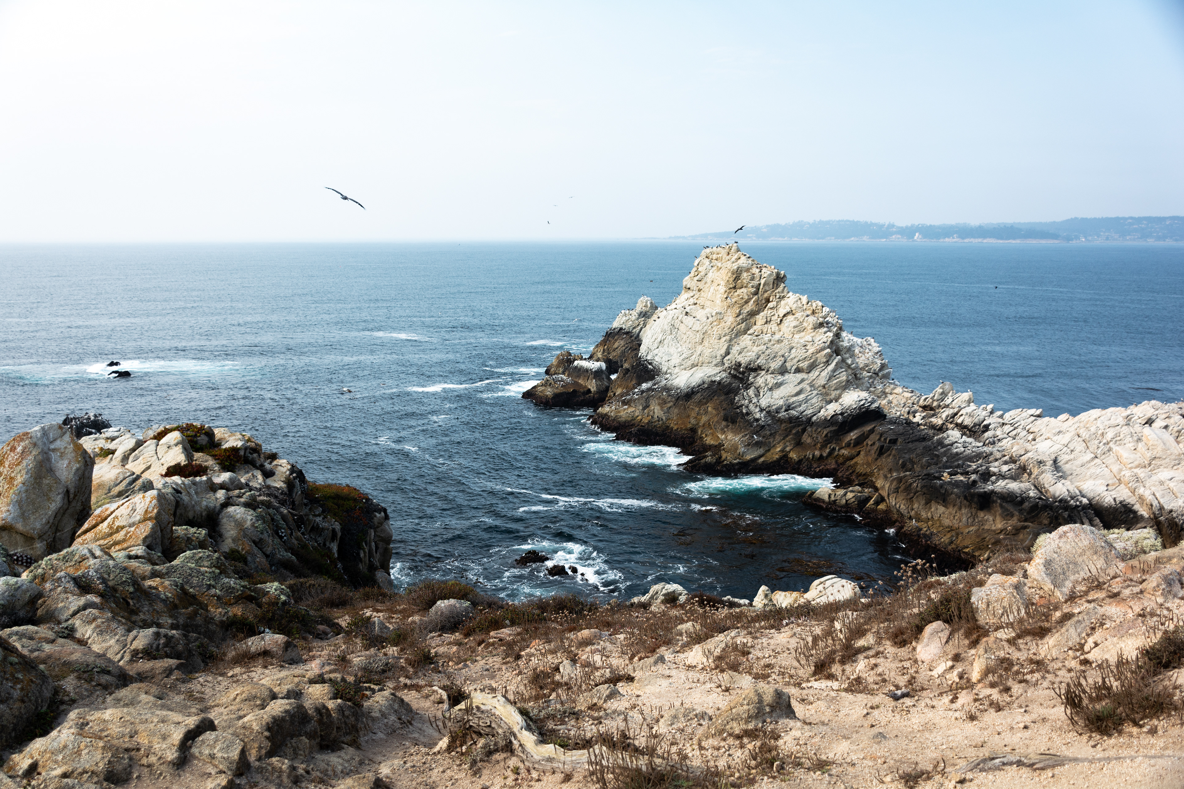 Point Lobos, CA