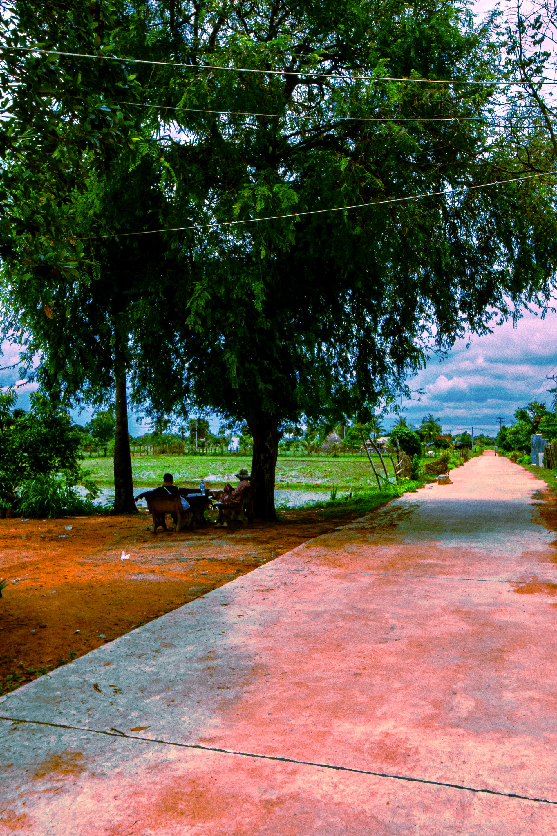 Cambodia - 2025