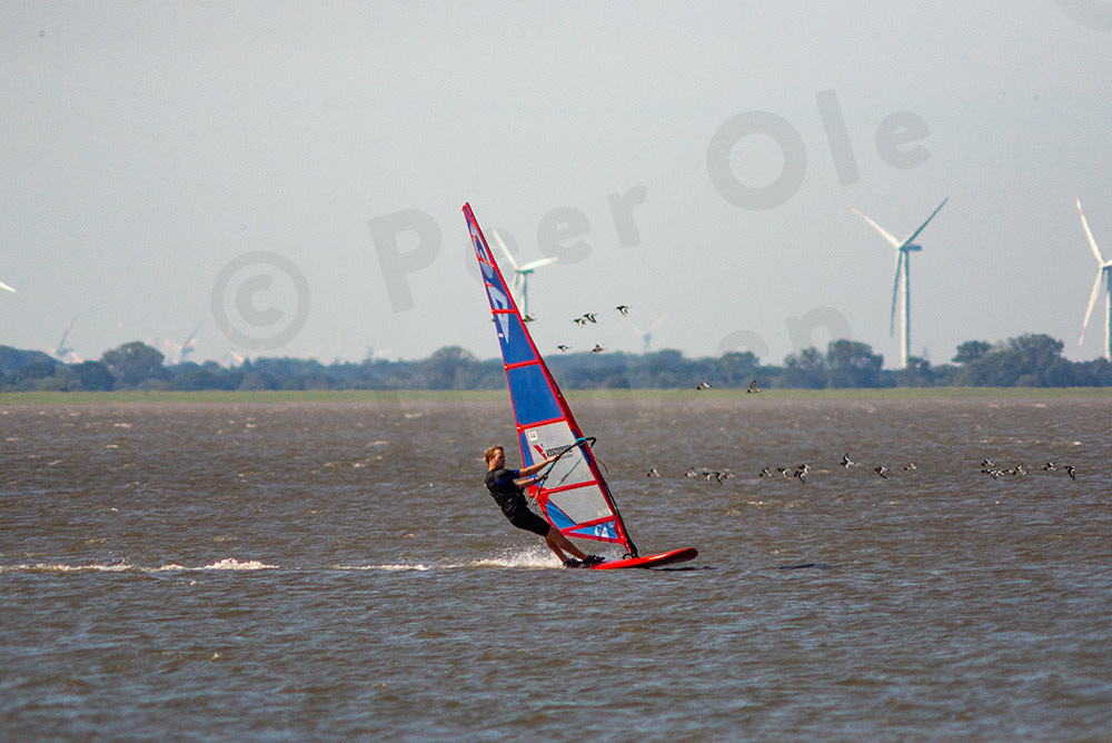 Surfer 09