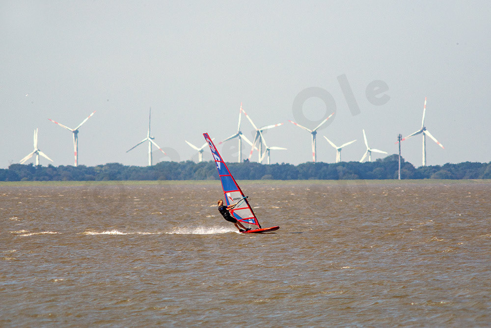 Surfer 01