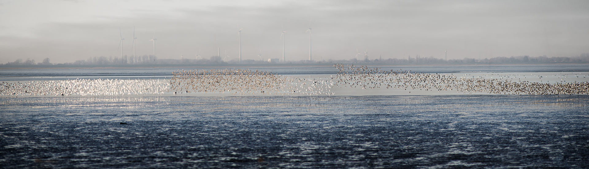 Dangast