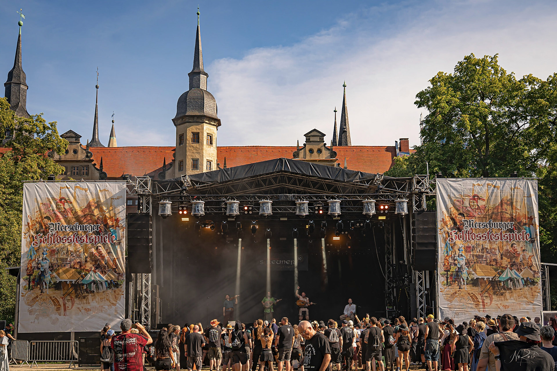 Die Streuner 20