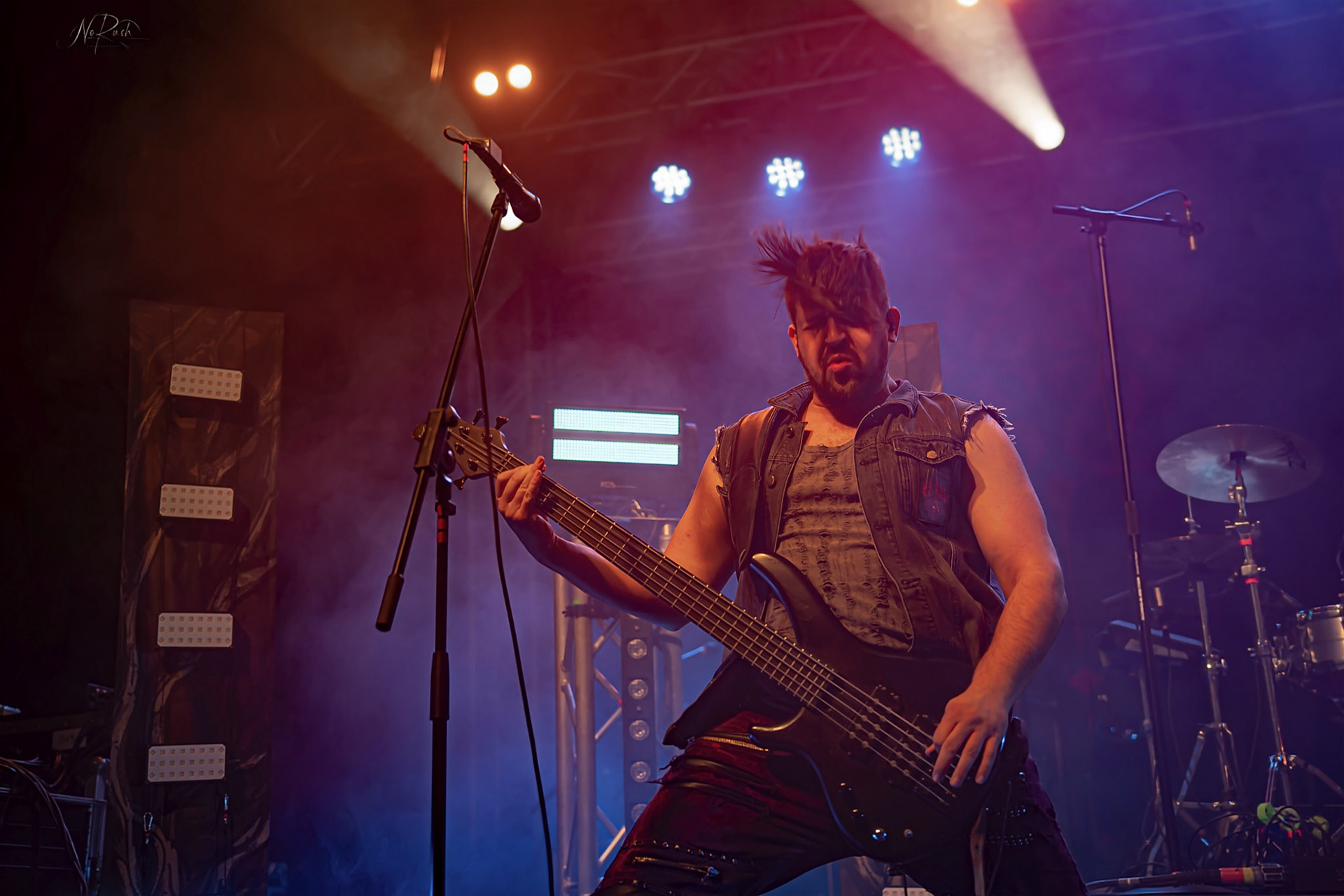 Haggefugg - EHN2025 DD 29