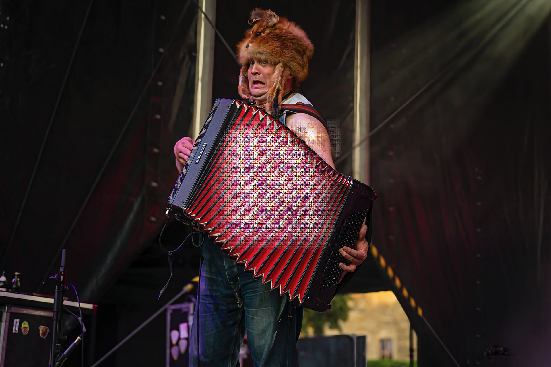 Steve´n´Seagulls 8