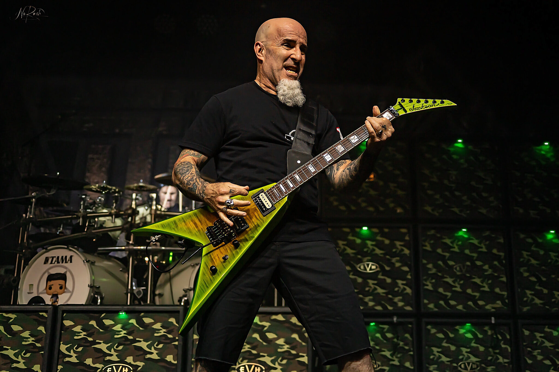 Anthrax 29