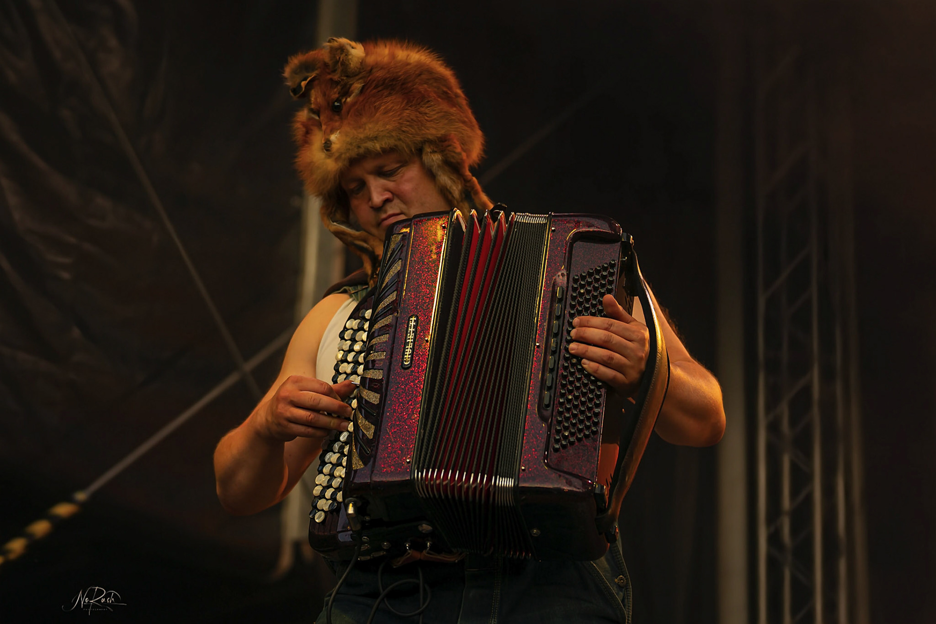 Steve´n´Seagulls 9