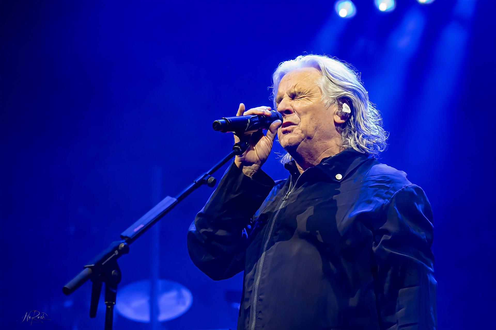 Marillion 23