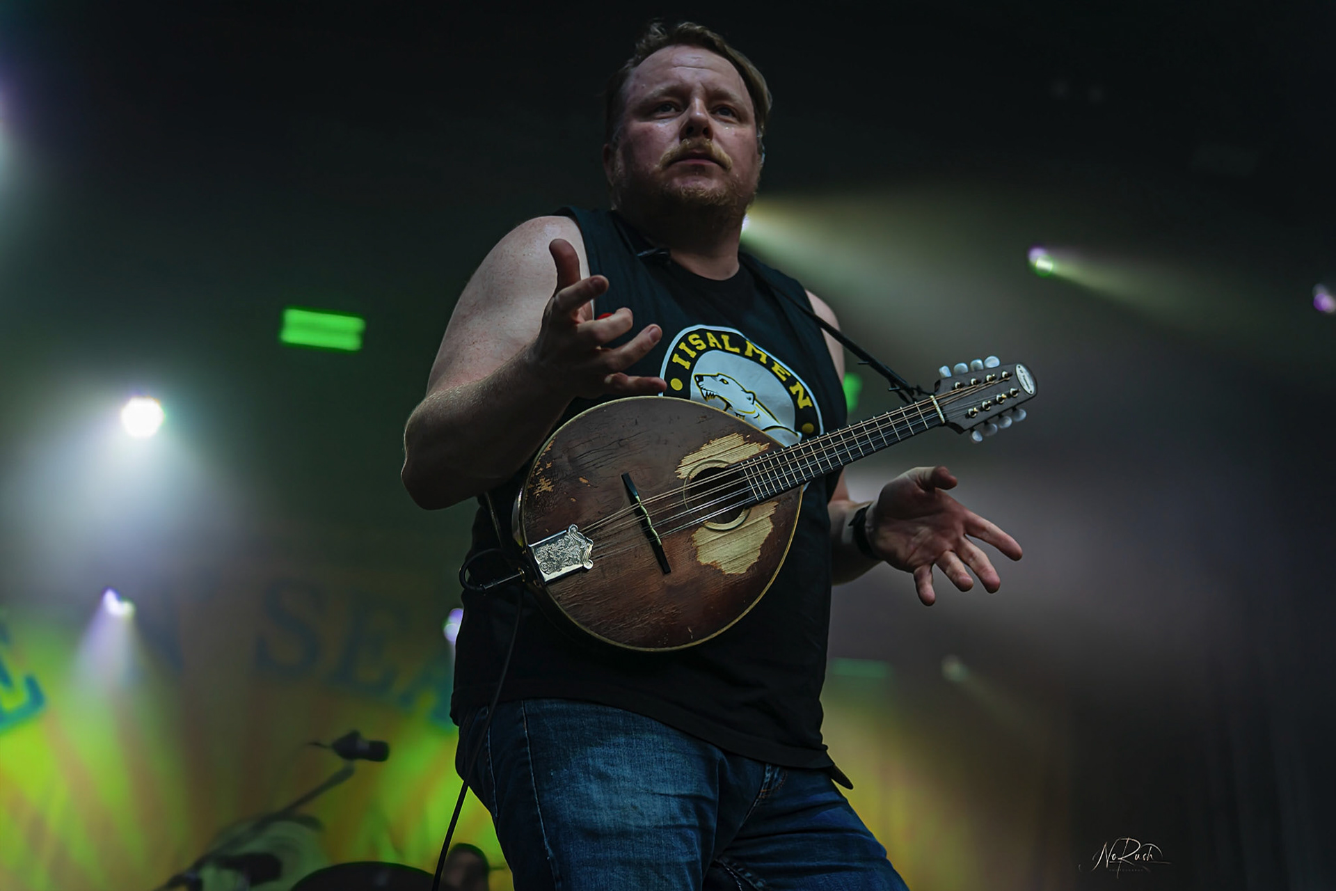 Steve´n´Seagulls 16