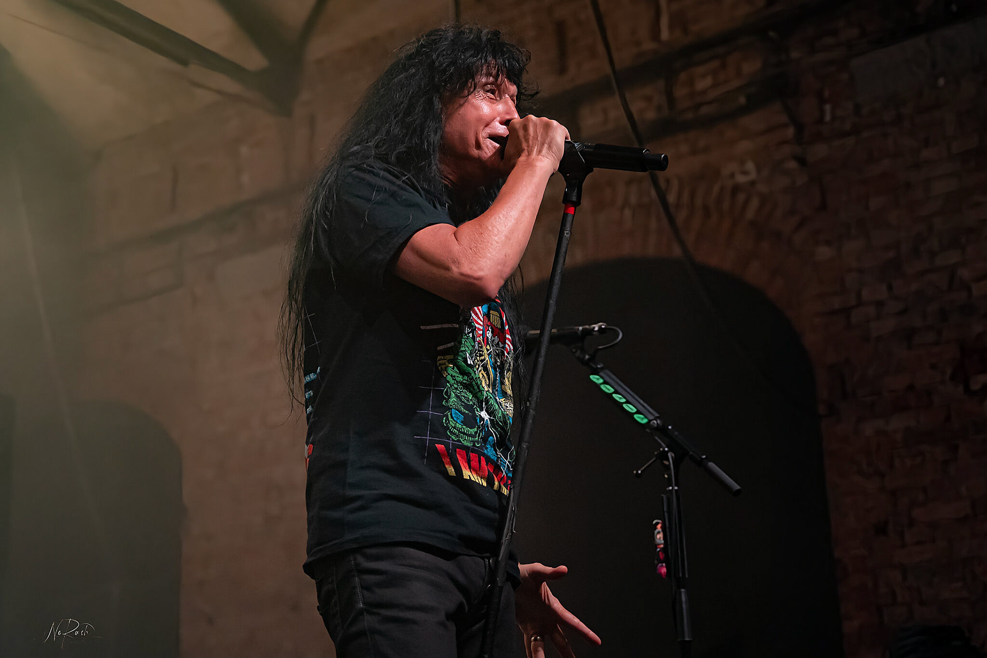 Anthrax 55