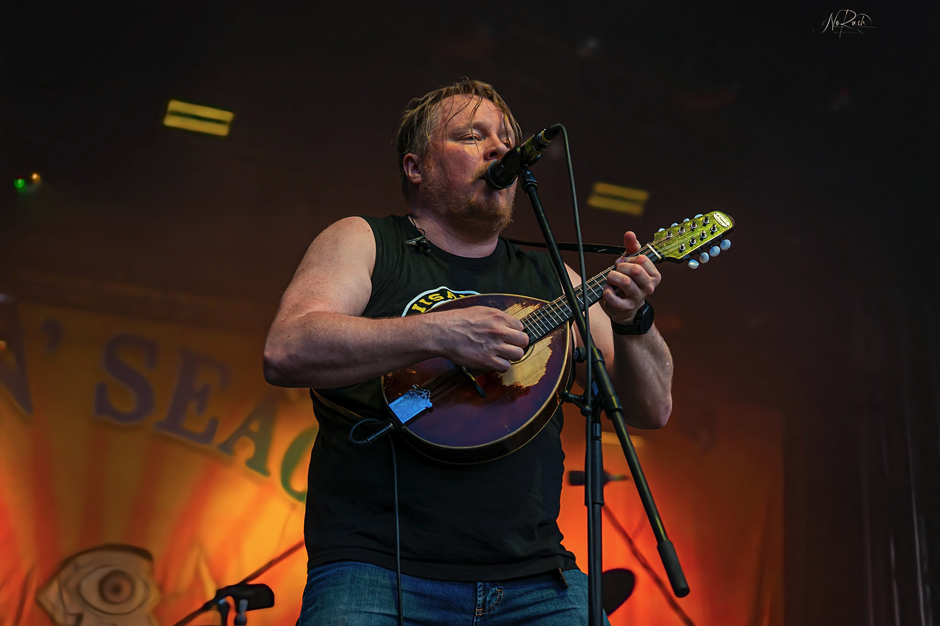 Steve´n´Seagulls 13