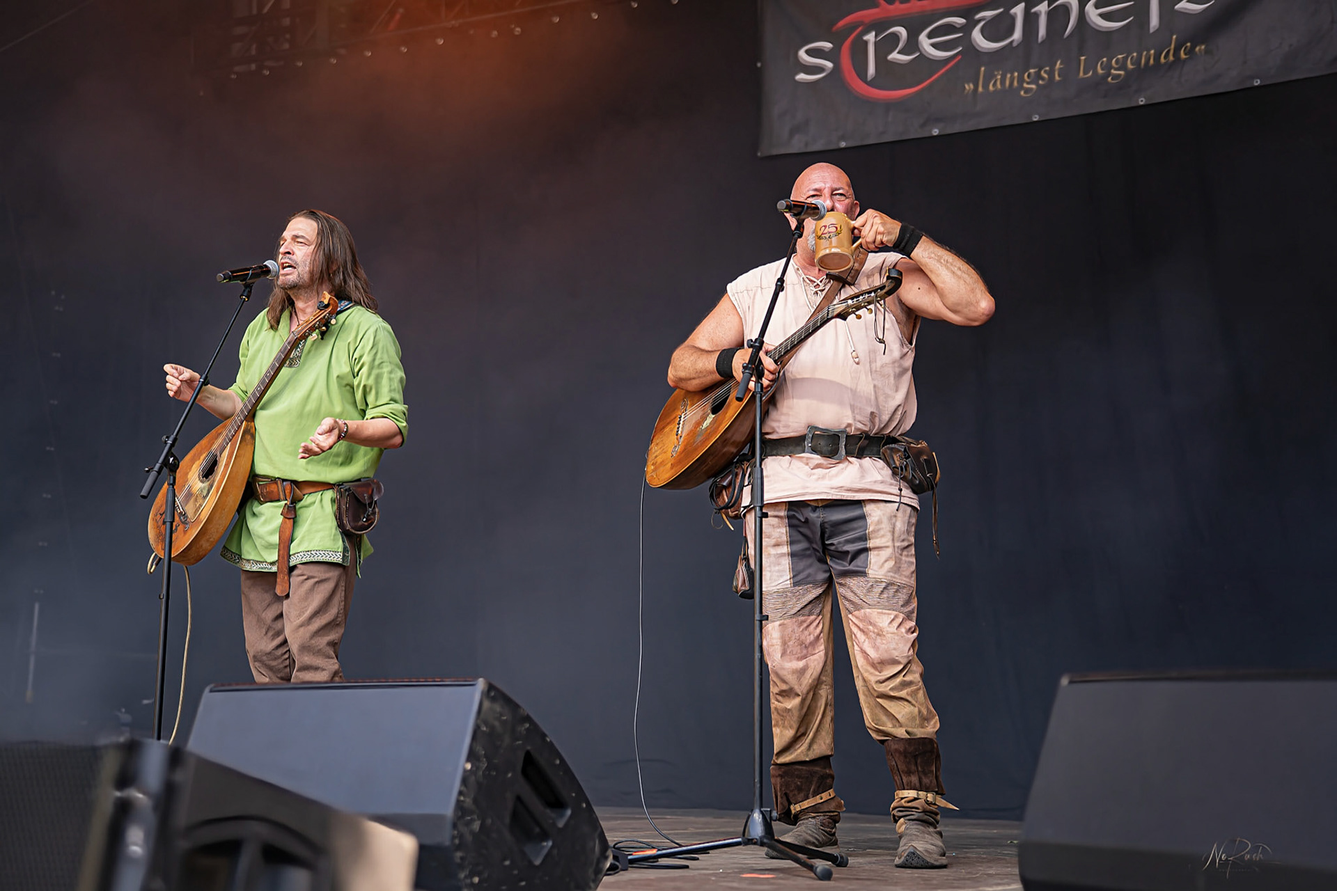Die Streuner 16