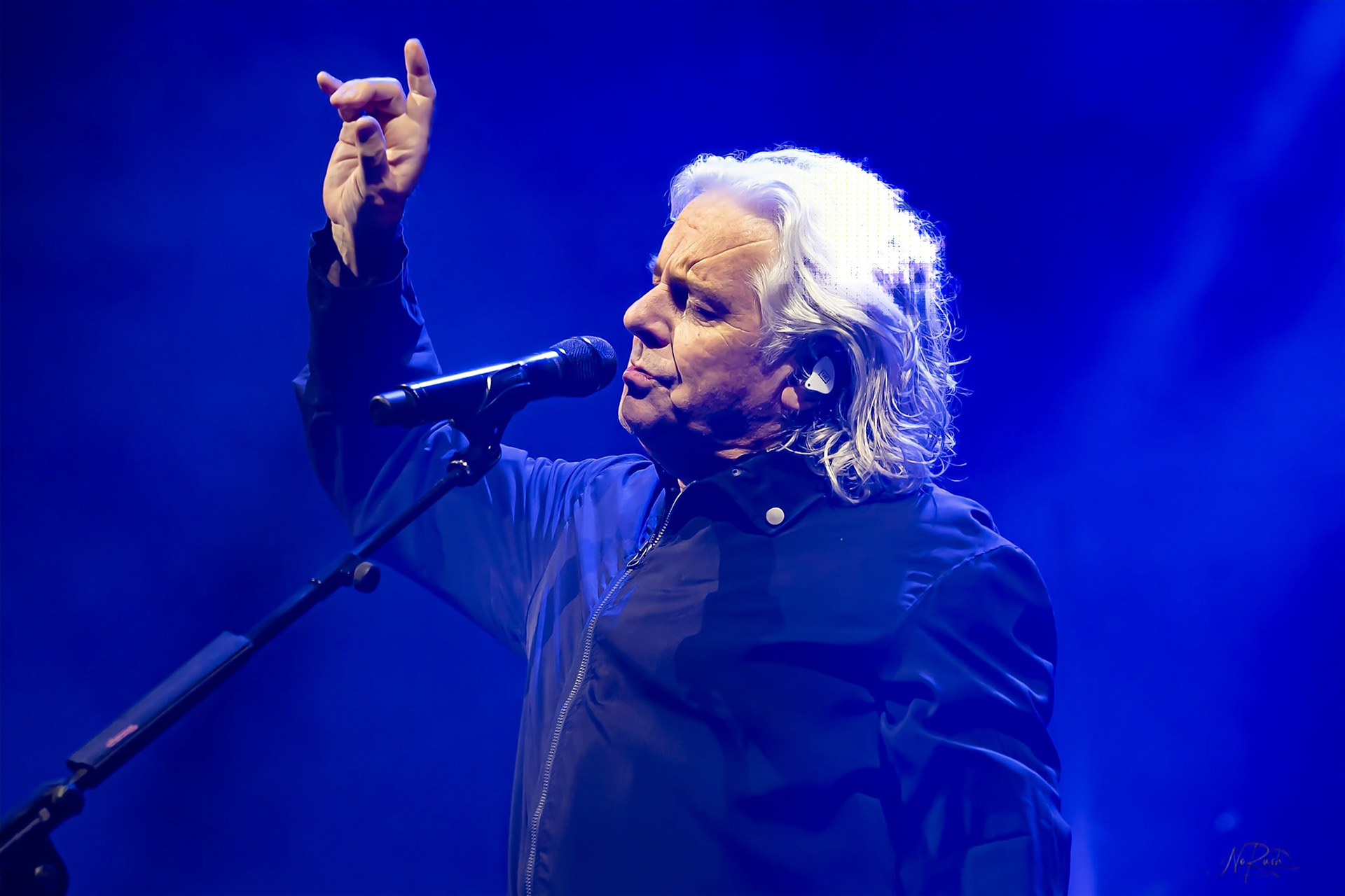 Marillion 12