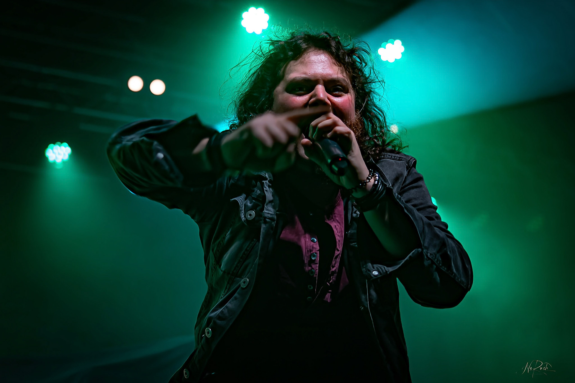 Haggefugg - EHN2025 DD 9