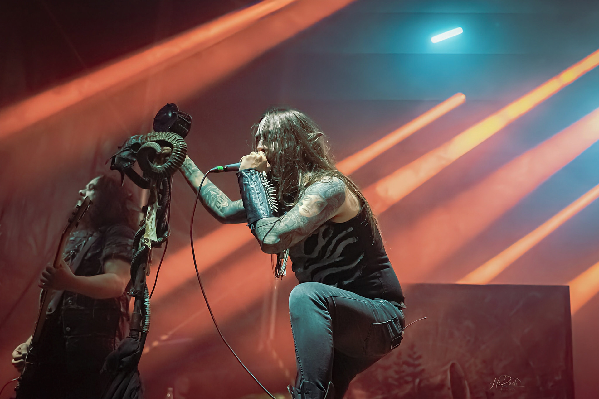 Finntroll 14