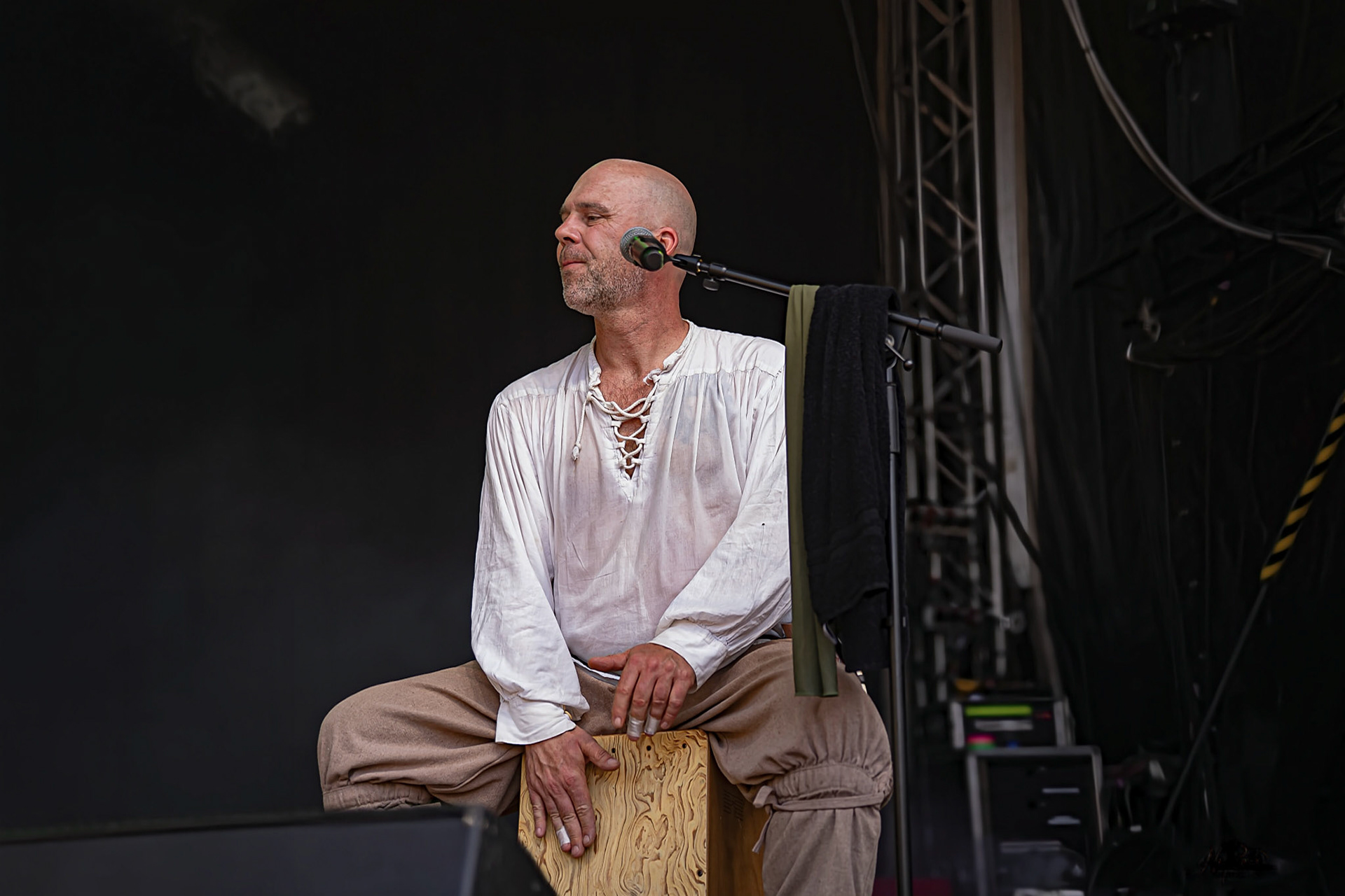 Die Streuner 6