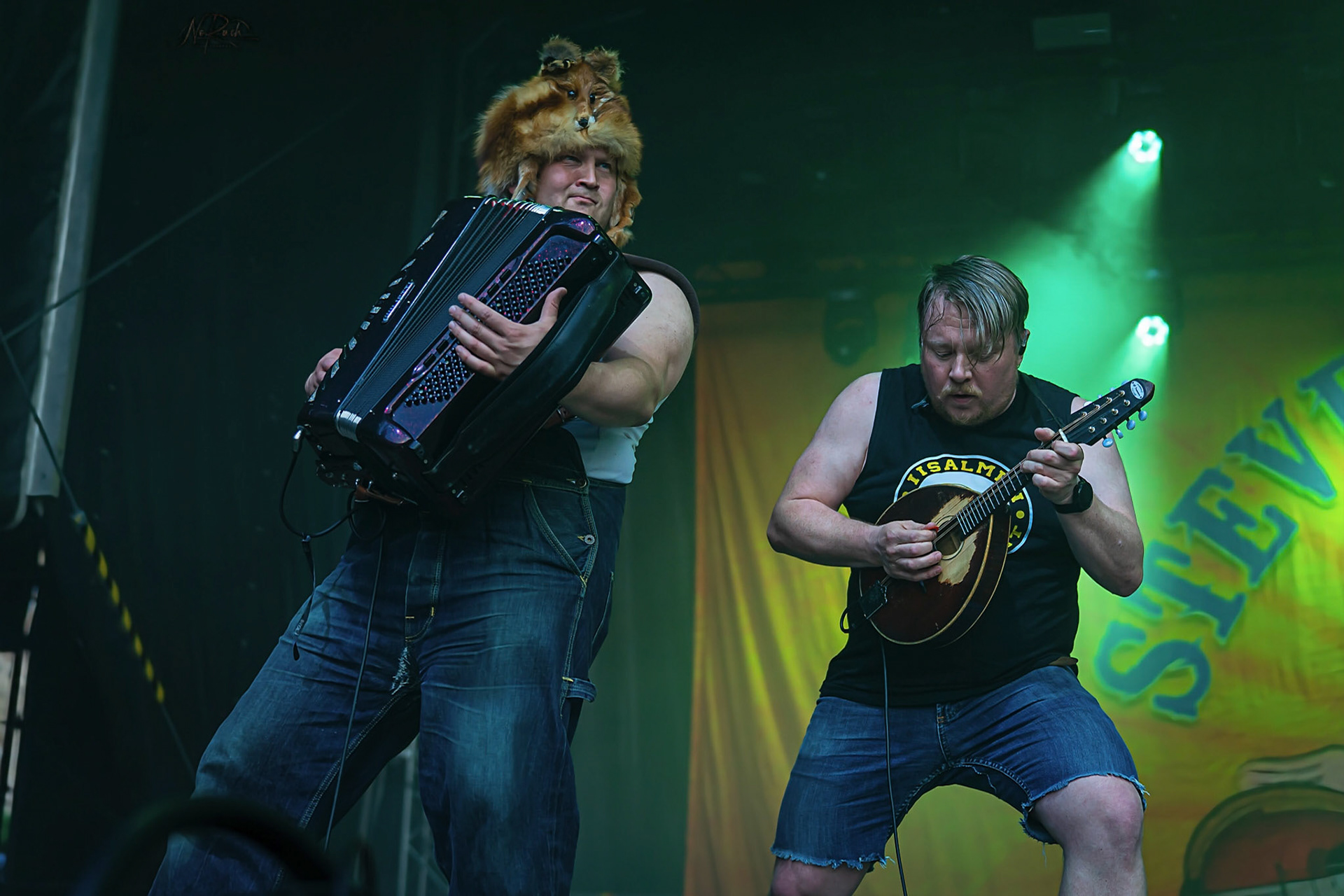 Steve´n´Seagulls 15