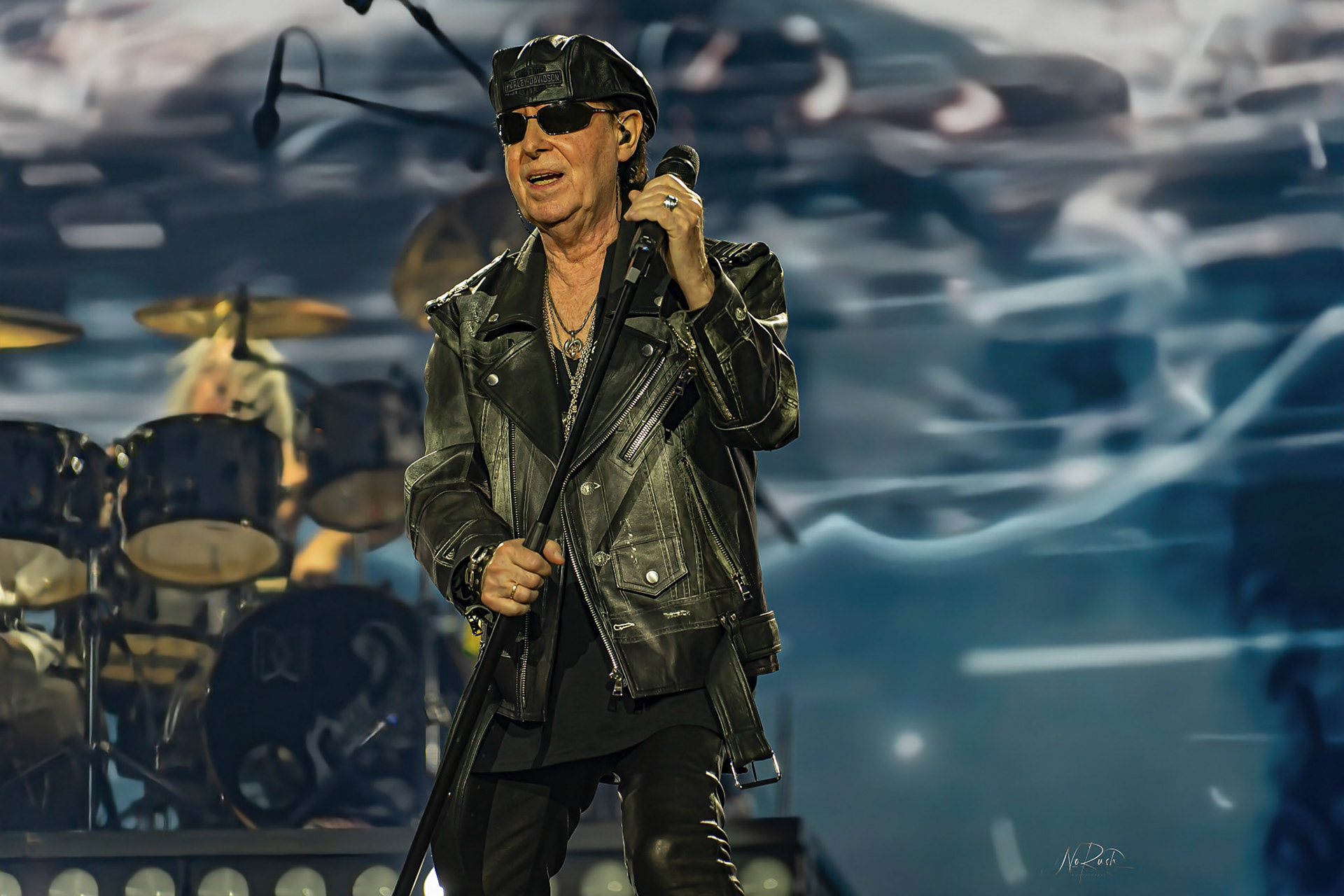 Scorpions 6