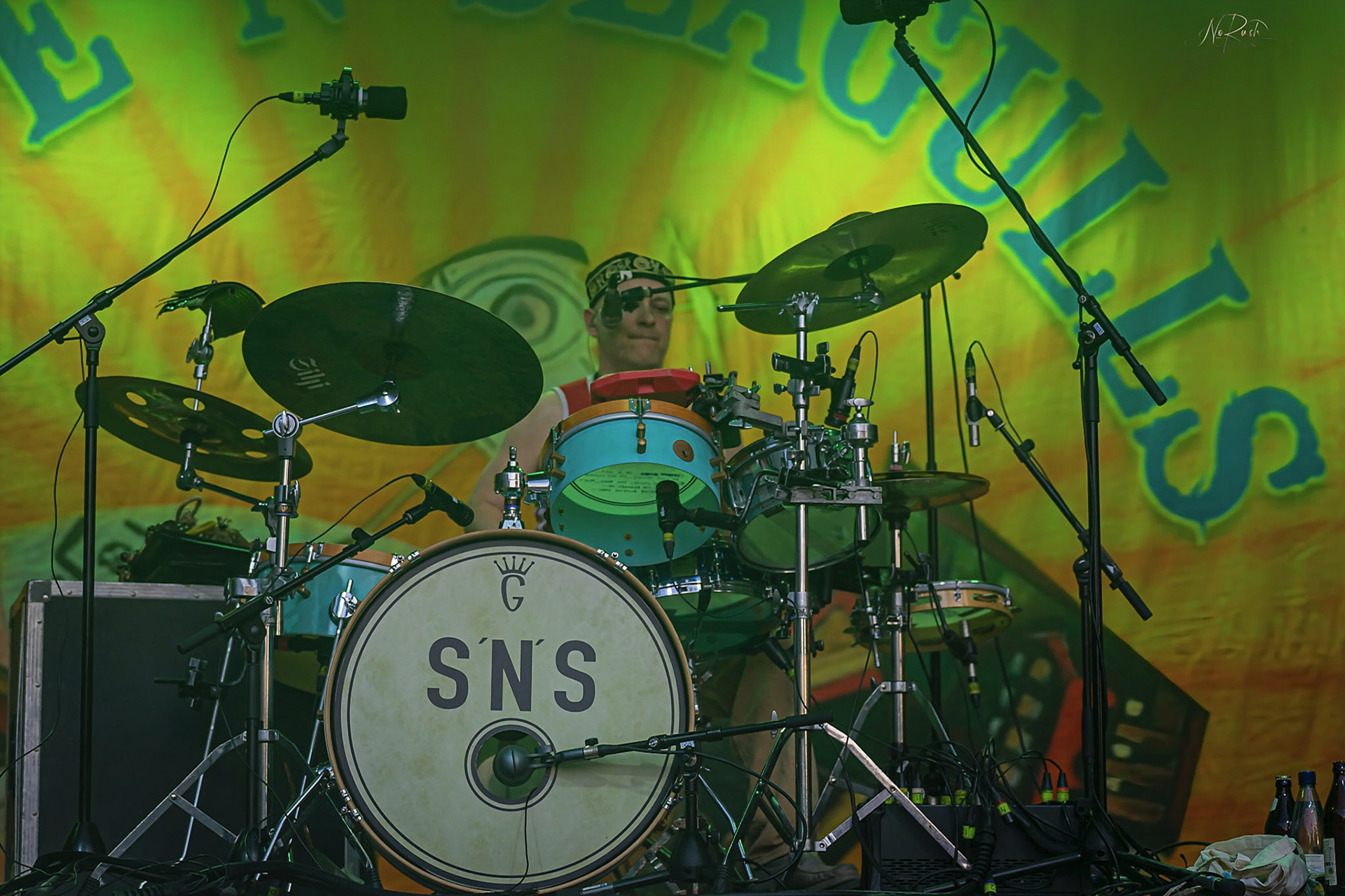 Steve´n´Seagulls 17