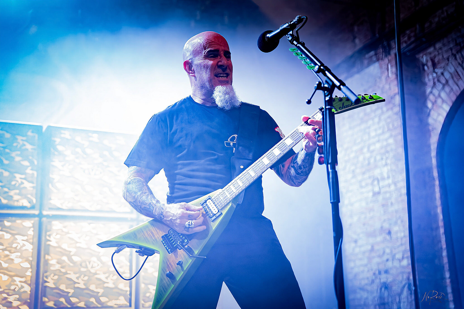 Anthrax 50