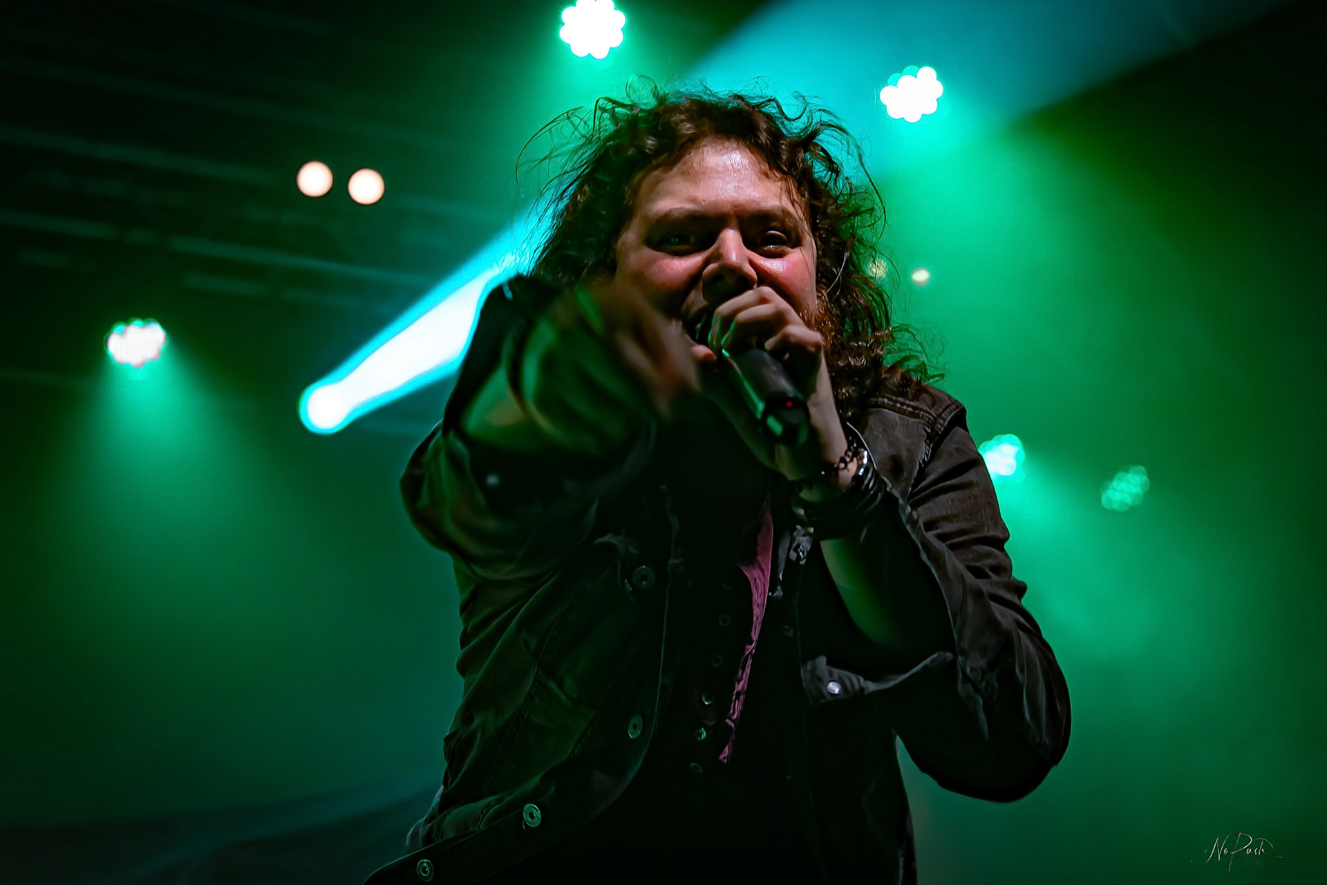 Haggefugg - EHN2025 DD 10