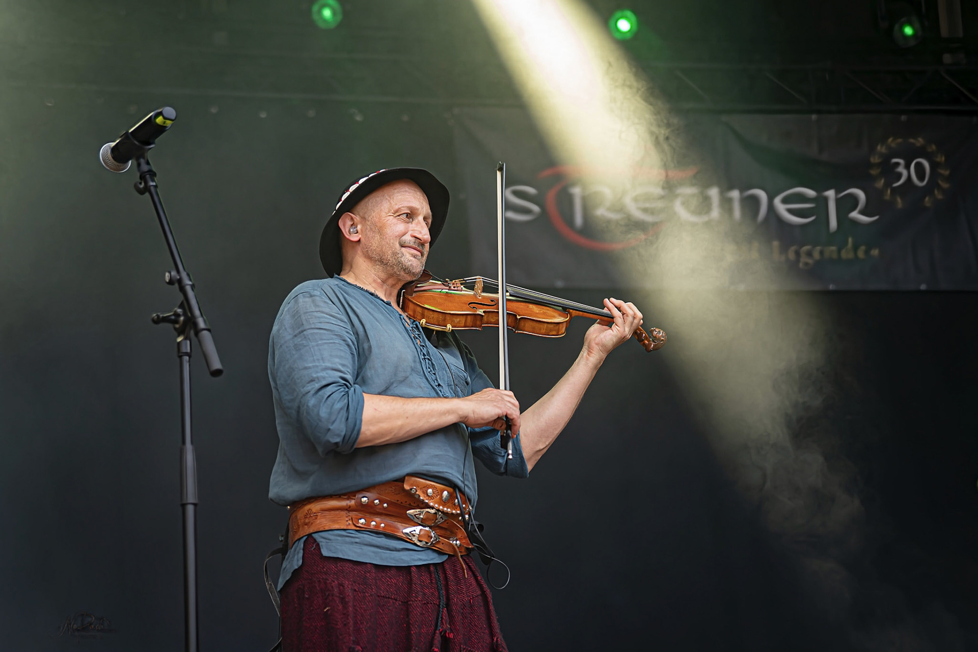 Die Streuner 3
