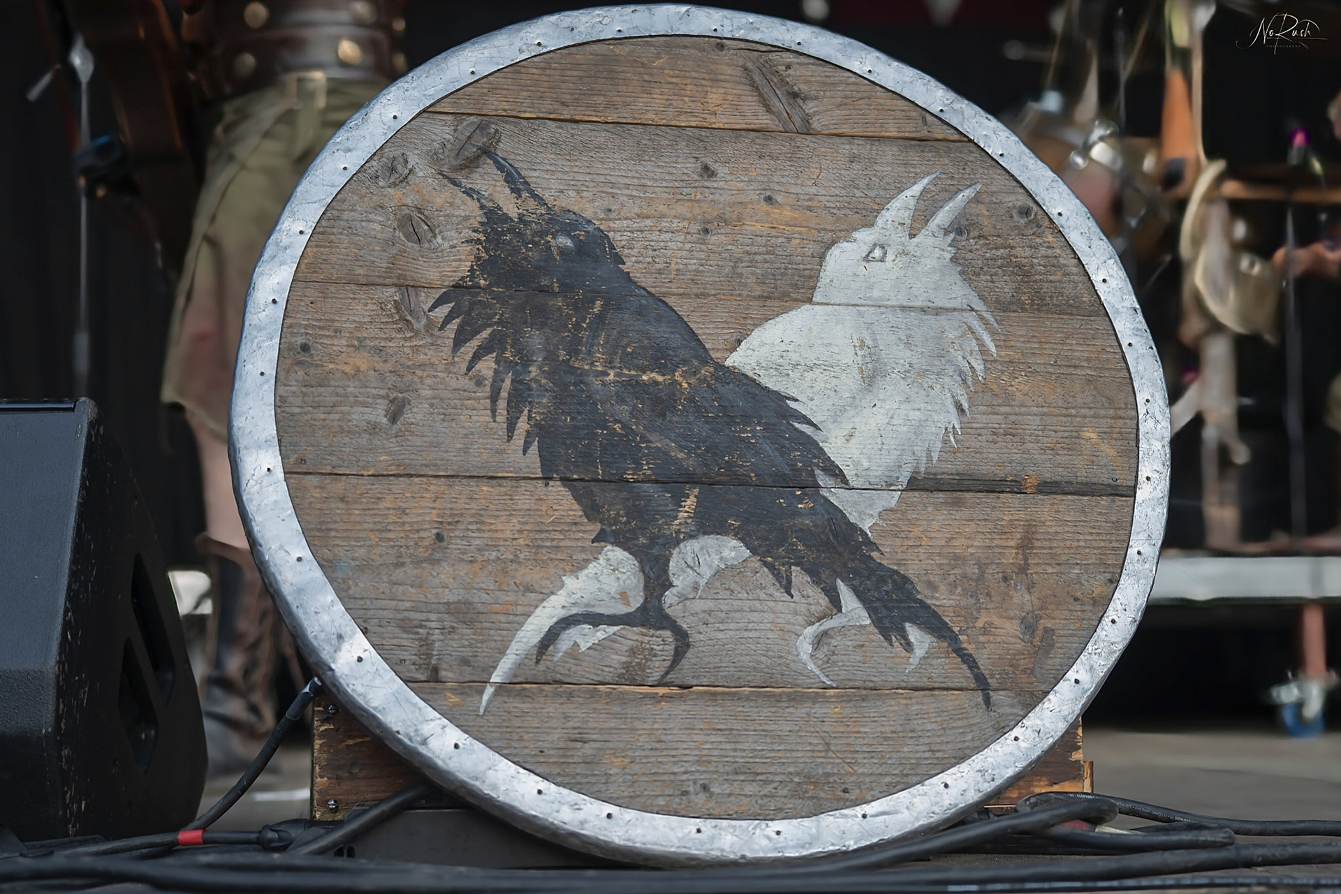 Corvus Corax 3
