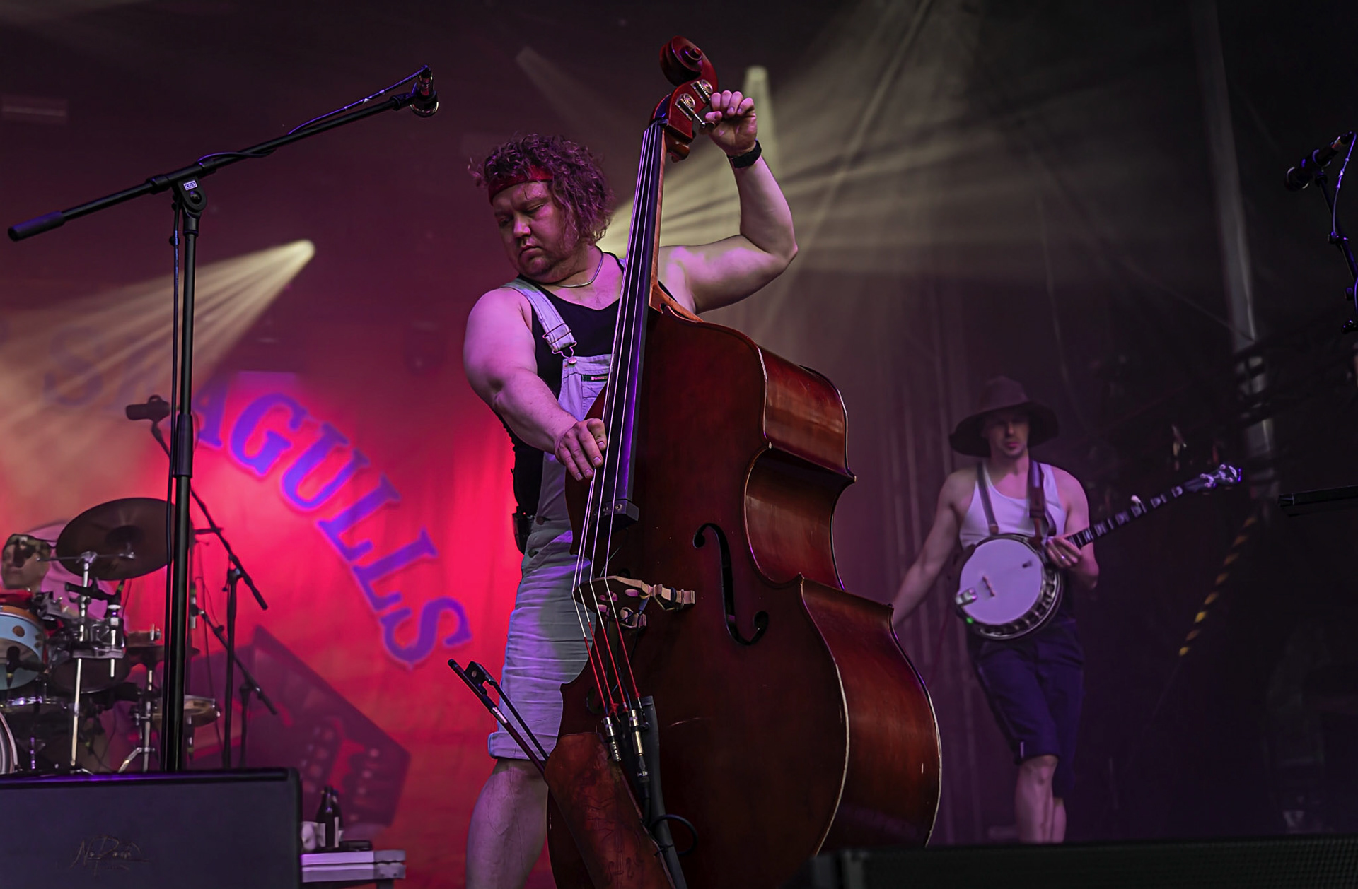 Steve´n´Seagulls 2