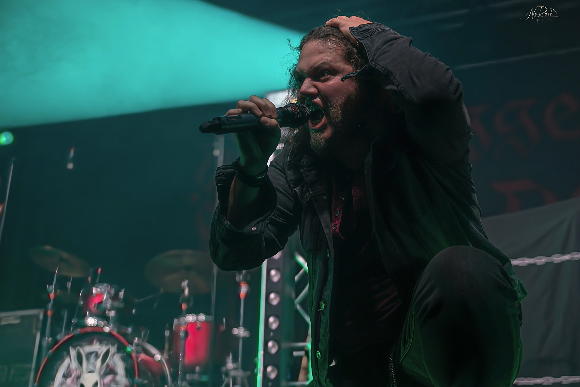 Haggefugg - EHN2025 DD 15