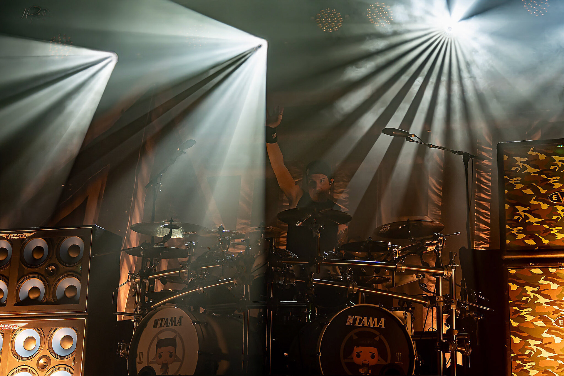 Anthrax 42