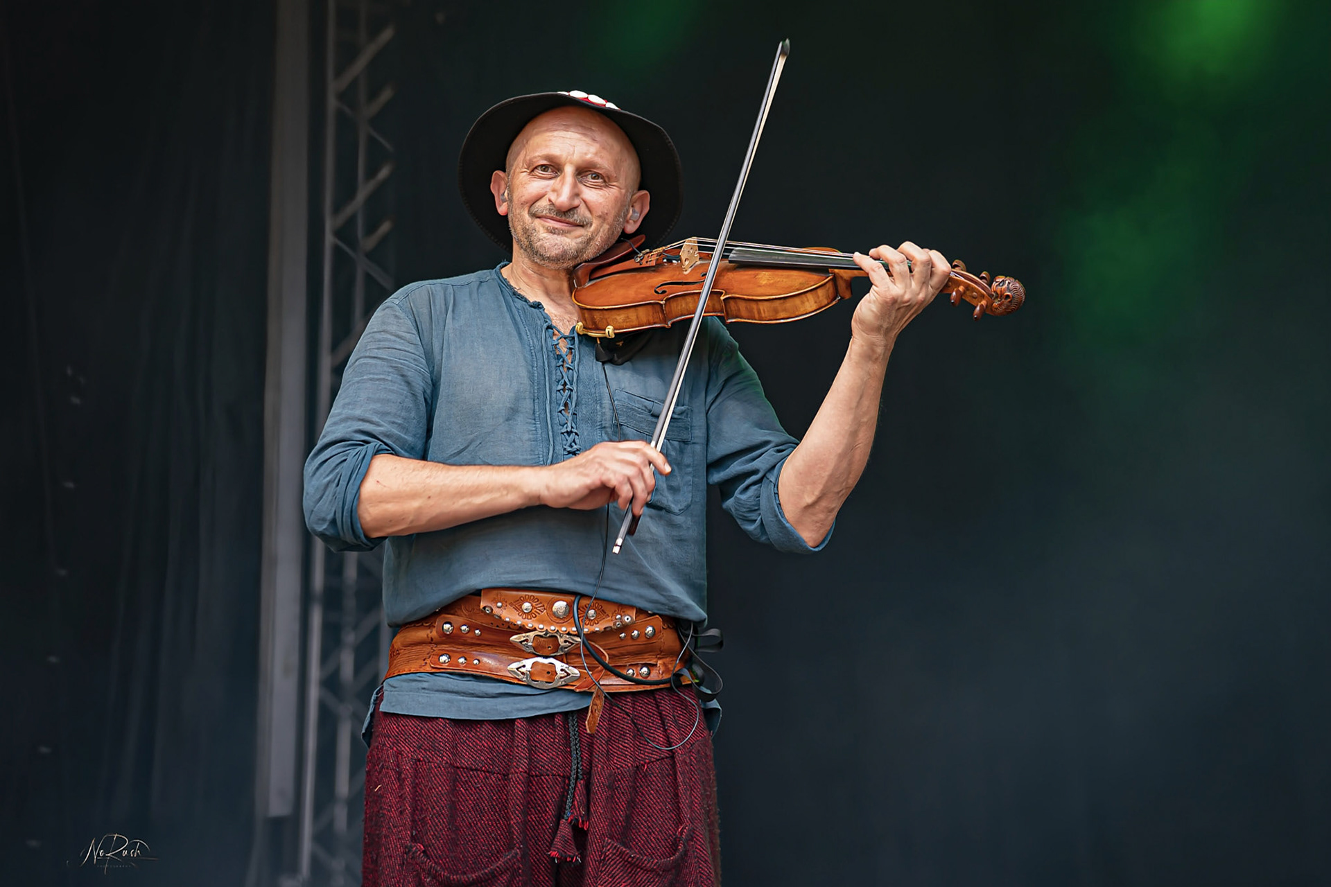 Die Streuner 4