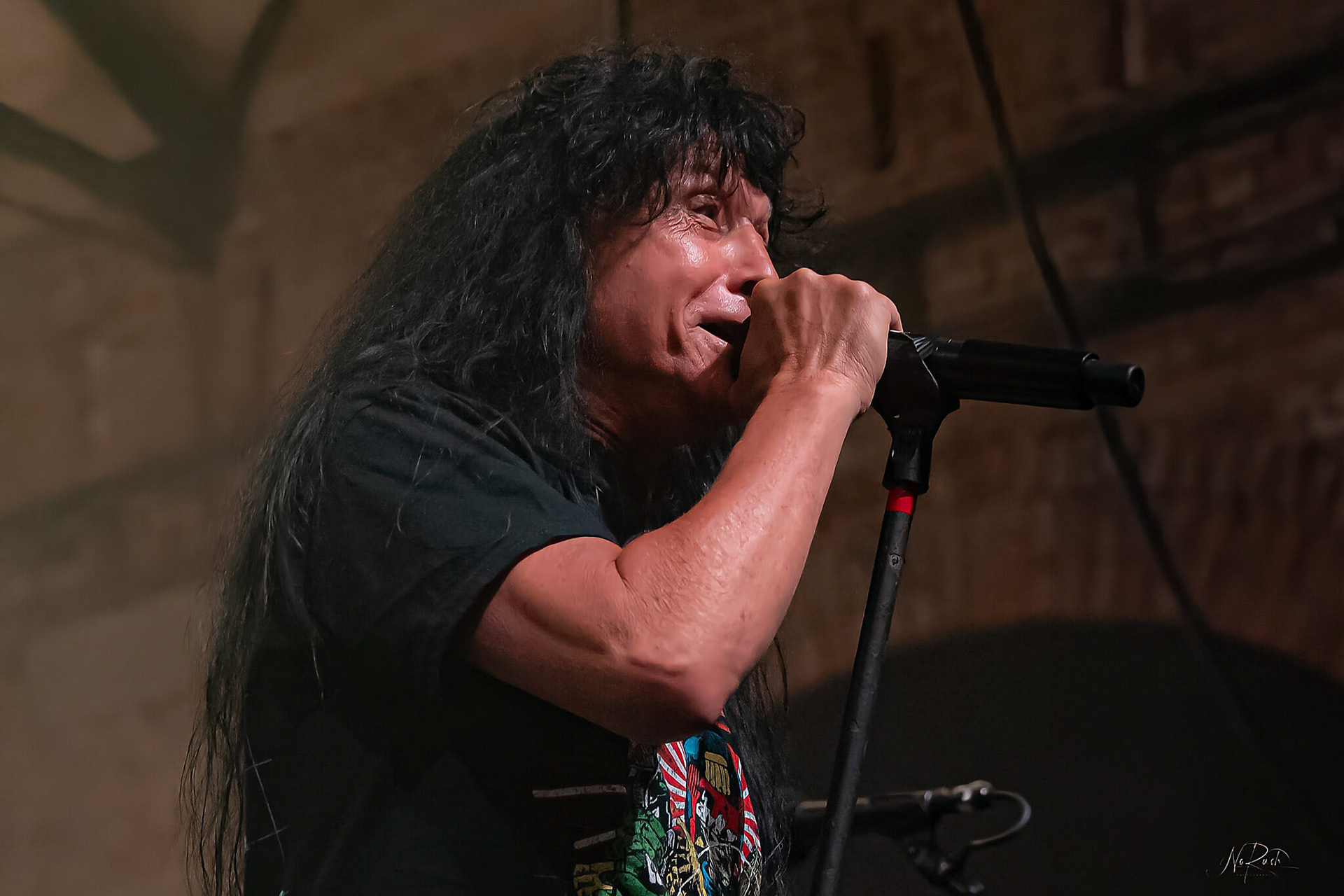 Anthrax 53