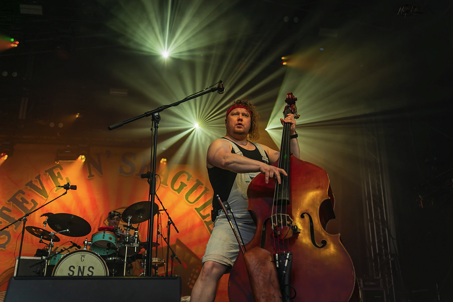 Steve´n´Seagulls 12