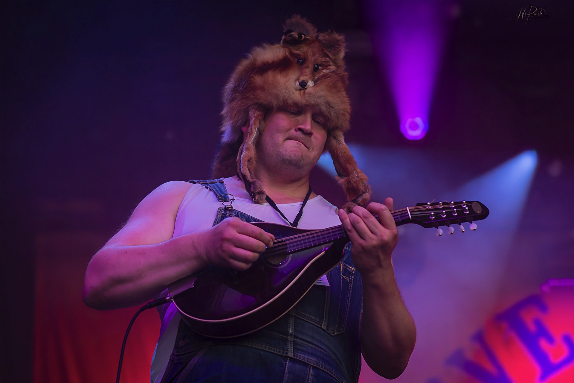 Steve´n´Seagulls 3