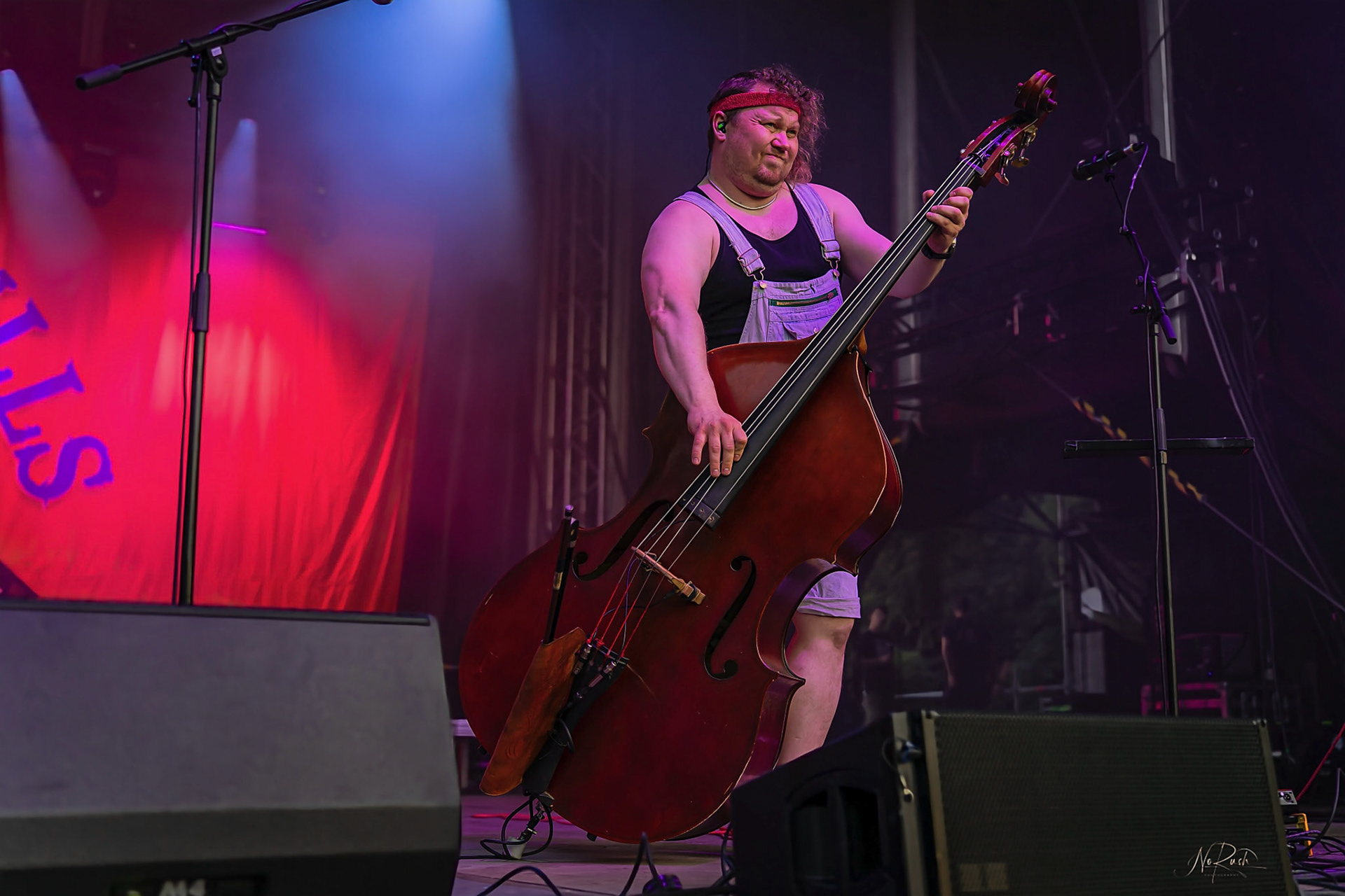 Steve´n´Seagulls 6
