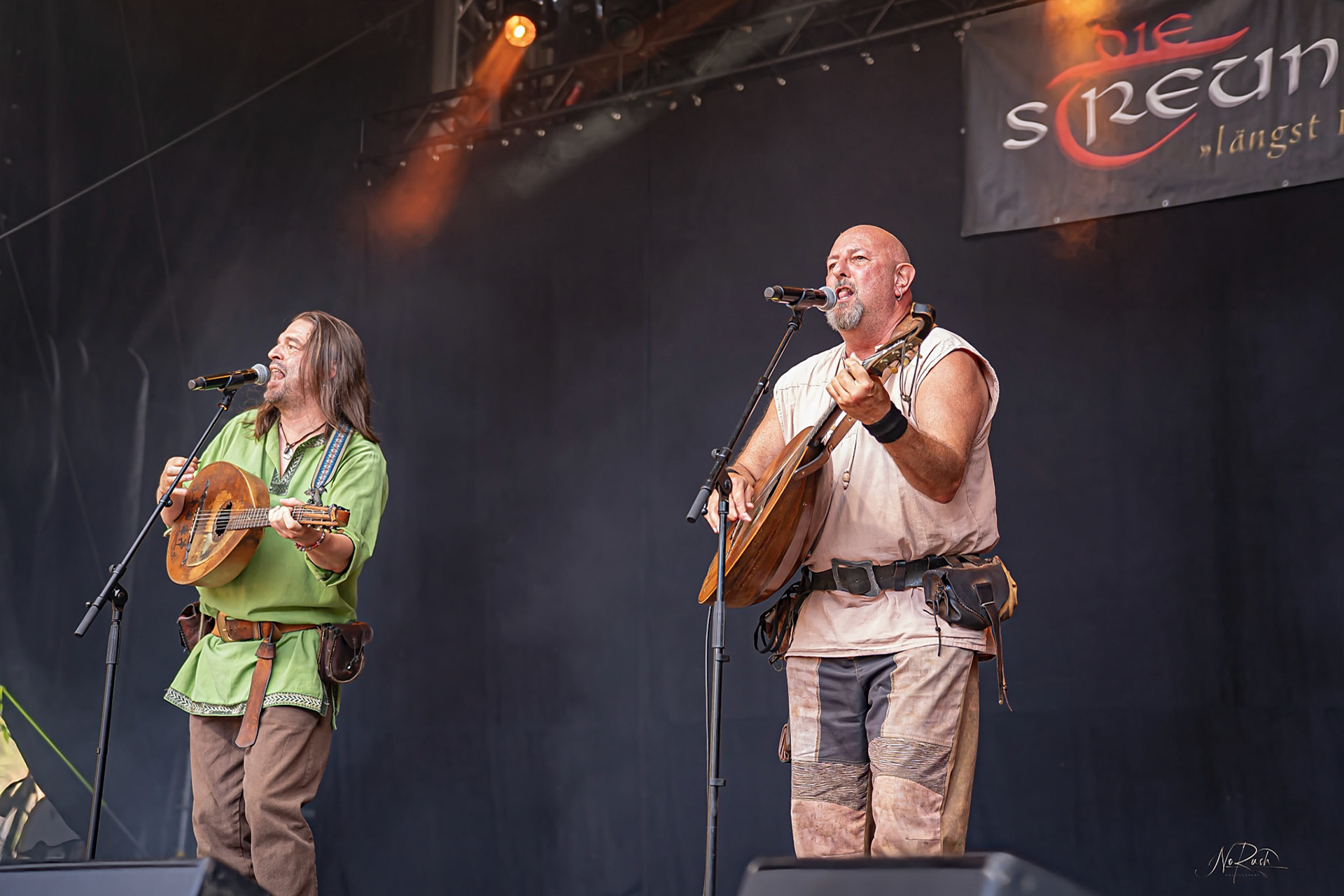 Die Streuner 17