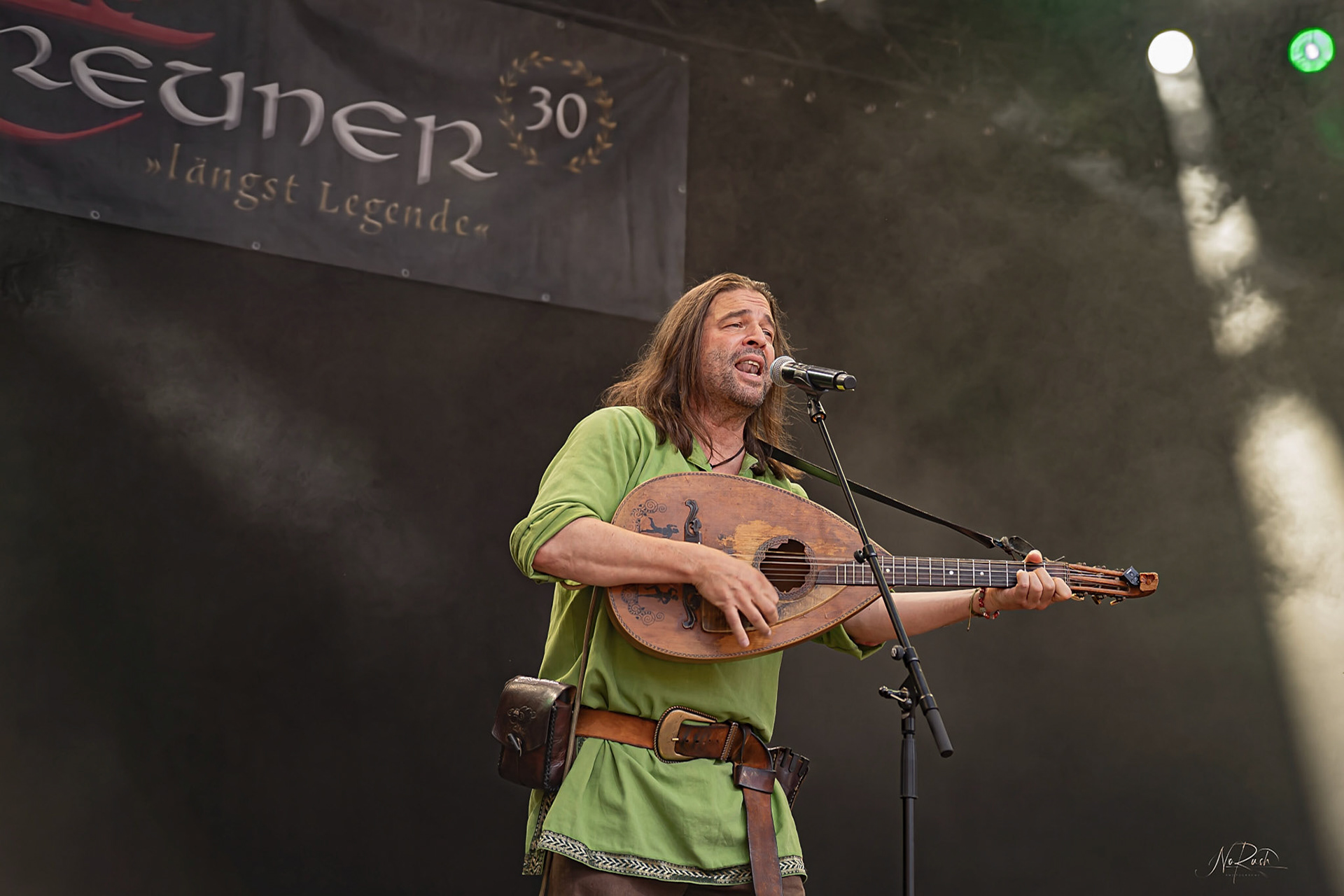 Die Streuner 8