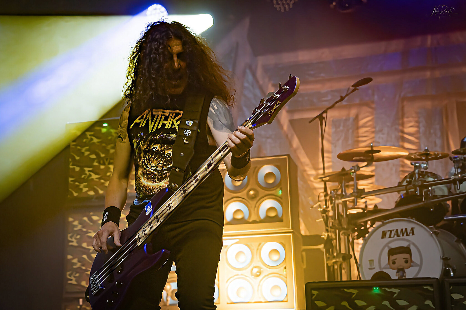 Anthrax 19
