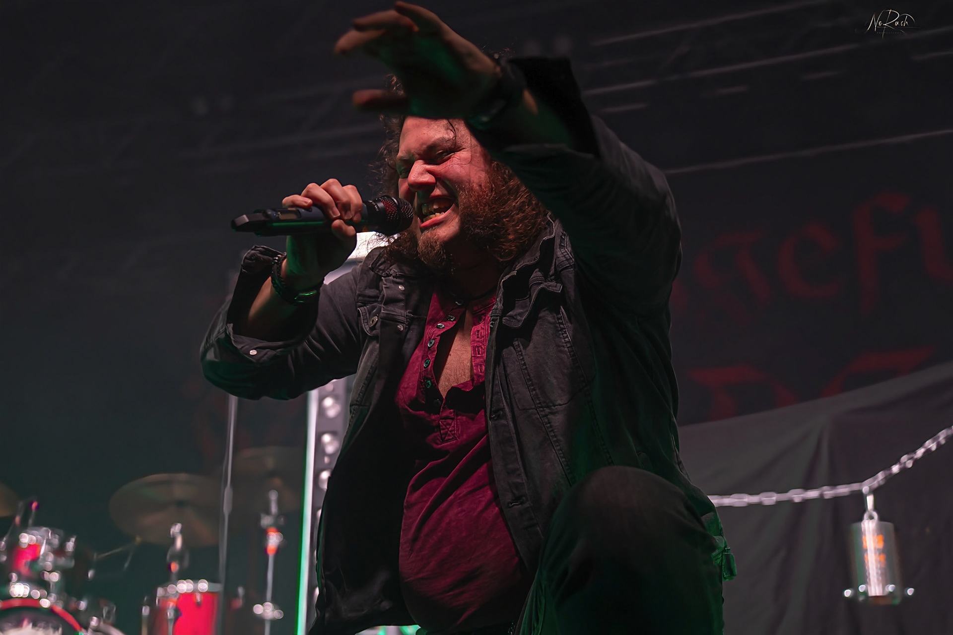 Haggefugg - EHN2025 DD 16