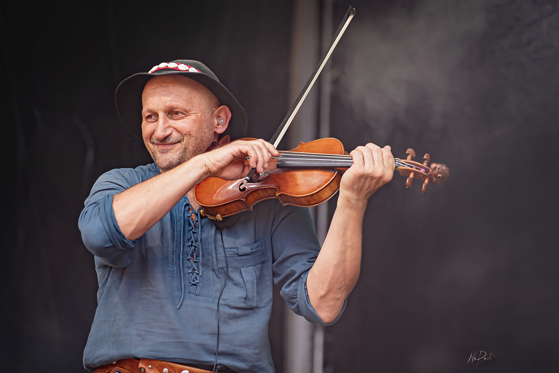 Die Streuner 9