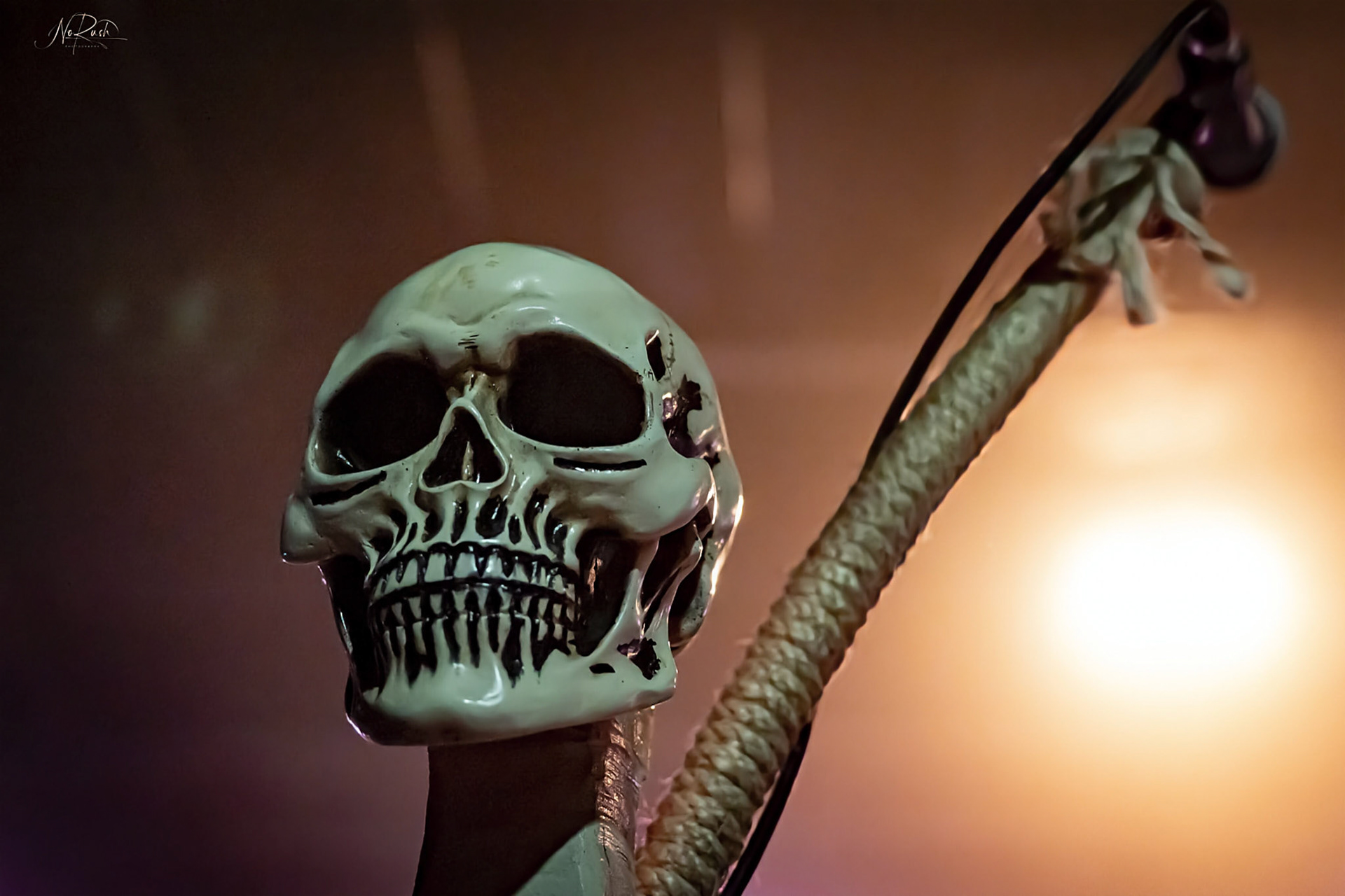 Visions of Atlantis 1